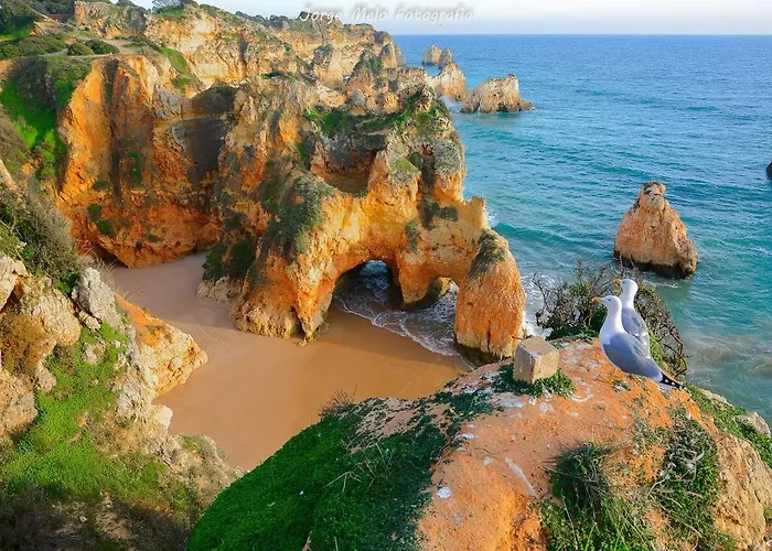 Dona Ana Lägenhet *